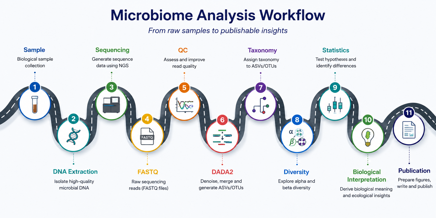 Microbiome analysis workflow